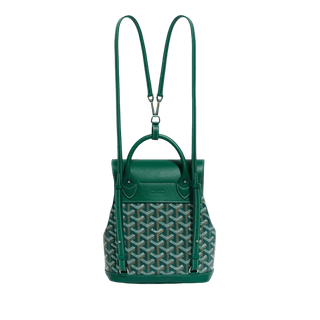 Goyard Alpin Mini Backpack Green