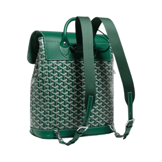 Goyard Alpin MM Backpack Green