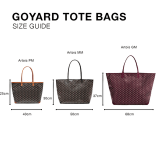 Goyard Artois PM Bag Yellow