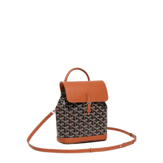 Goyard Alpin Mini Backpack Black Tan
