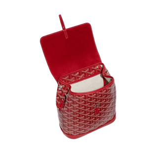 Goyard Alpin Mini Backpack Red