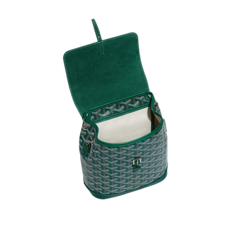 Goyard Alpin Mini Backpack Green