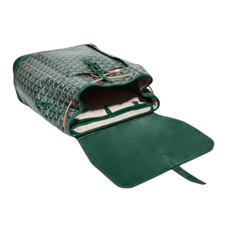 Goyard Alpin MM Backpack Green