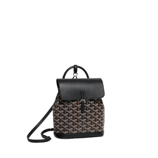Goyard Alpin Mini Backpack Black