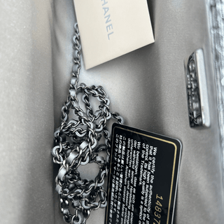 Chanel Silver Python Clutch on Chain Bag