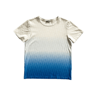 Dior Blue & White Gradient Oblique T-Shirt