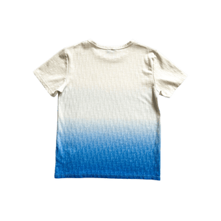 Dior Blue & White Gradient Oblique T-Shirt