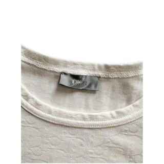 Dior Blue & White Gradient Oblique T-Shirt