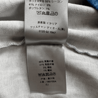 Dior Blue & White Gradient Oblique T-Shirt