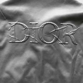 Dior Daniel Arsham Satin Logo Bomber Jacket