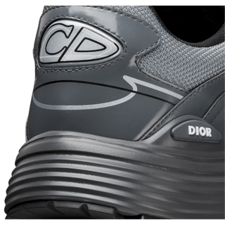 Dior B30 Light Gray Gray