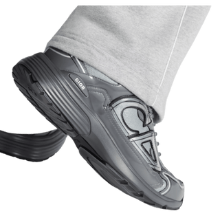 Dior B30 Light Gray Gray