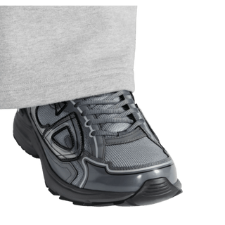 Dior B30 Light Gray Gray