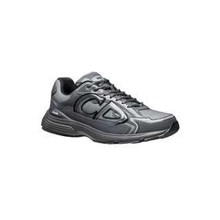 Dior B30 Light Gray Gray